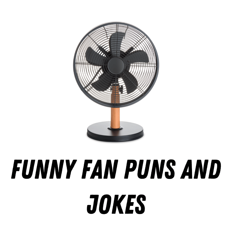 Funny Fan Puns And Jokes