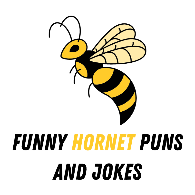 90-funny-hornet-puns-and-jokes-buzzed-and-confused-funniest-puns