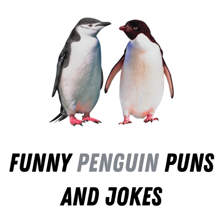 90+ Funny Penguin Puns And Jokes: Slide into Laughter - Funniest Puns