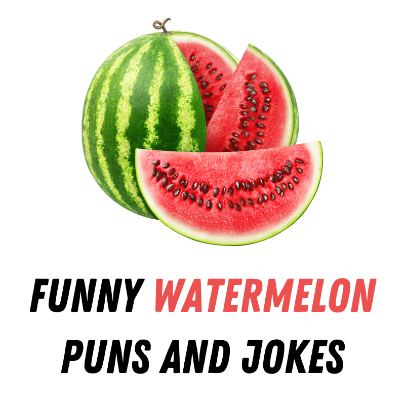 Funny Watermelon Puns And Jokes