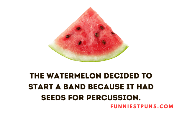 Funny Watermelon Puns