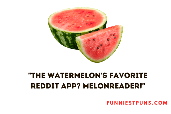 Watermelon puns reddit