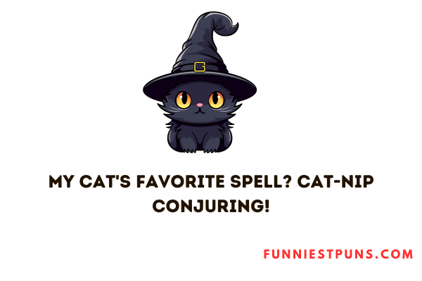 Cat Witch Puns