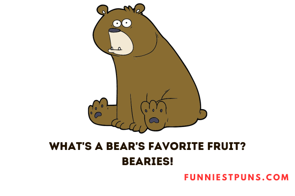 Funny Bear Puns