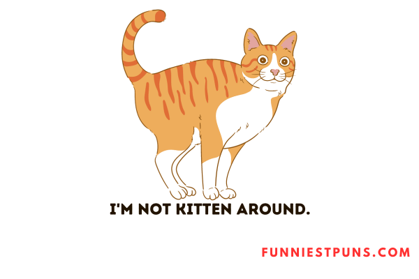 Funny Cat Puns