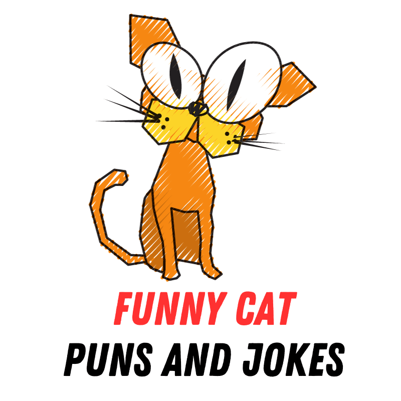 Funny Cat Puns