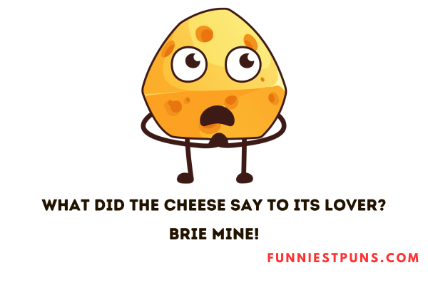 Funny Cheese Puns