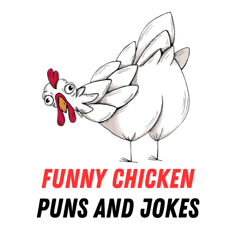 90+ Funny Chicken Puns and Jokes: Cluck-tastic Comedy