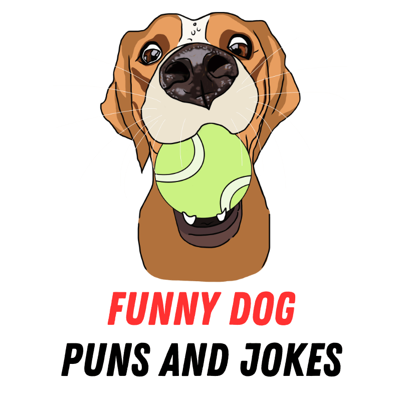 90+ Funny Dog Puns and Puns: Pawsitively Hilarious