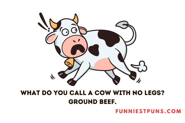 90+ Hilarious Farm Puns and Jokes: Farmyard Funnies - Funniest Puns