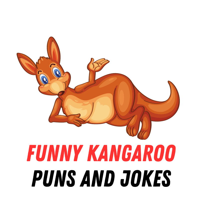 Funny Kangaroo Puns