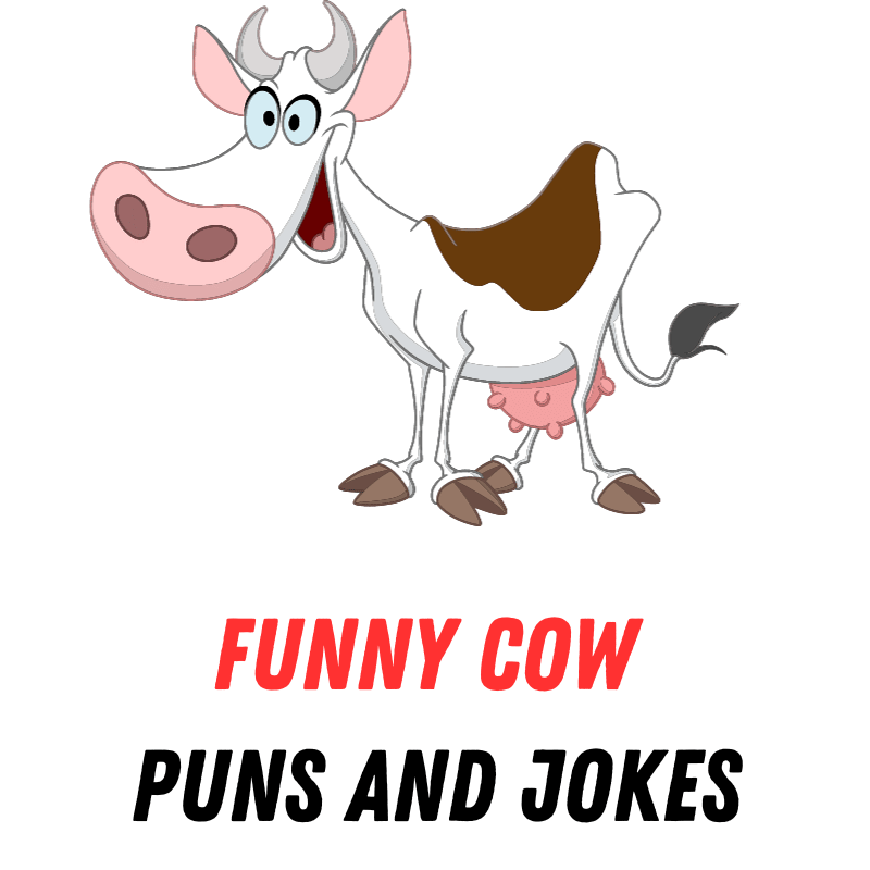 90+ Cow Puns and Jokes: Moo-ving Jokes