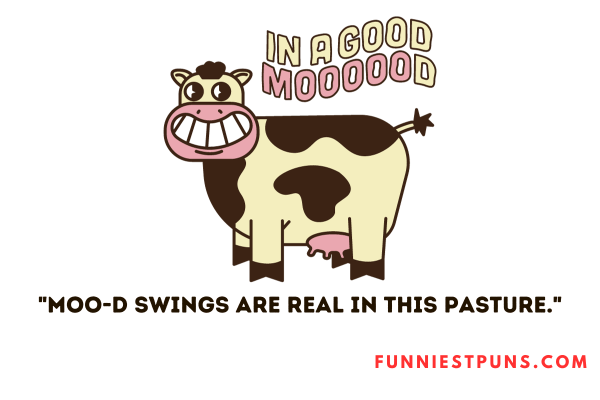 Funny Puns about Cows