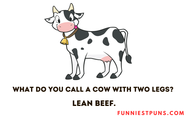 Funny Puns about Cows