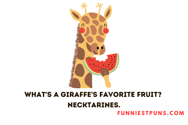 Funny Puns about Giraffes
