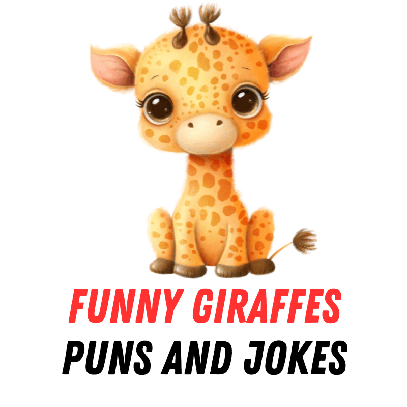 90+ Funny Giraffes Puns and Jokes: Giraffing You Crazy