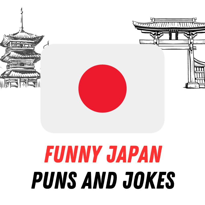 Funny Puns about Japan