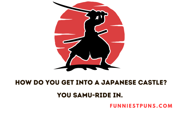 Funny Puns about Japan