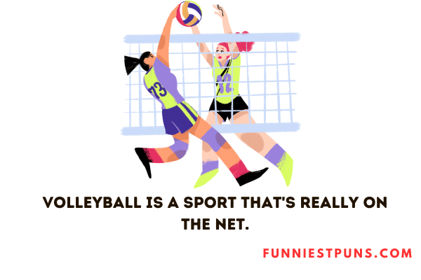 Funny Puns about Volleyball