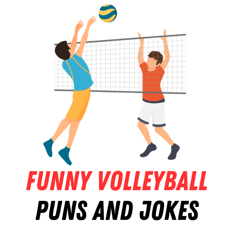 Funny Puns about Volleyball