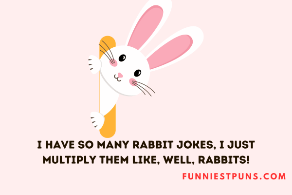 Funny Rabbit Puns