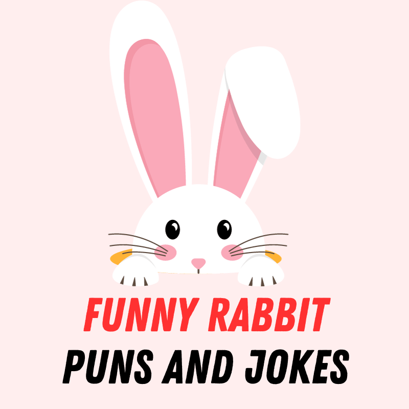 90+ Funny Rabbit Puns and Jokes: Hopping with Laughter
