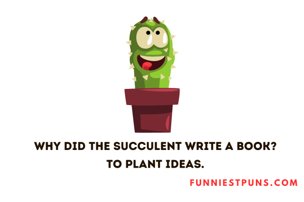 Funny Succulent Puns