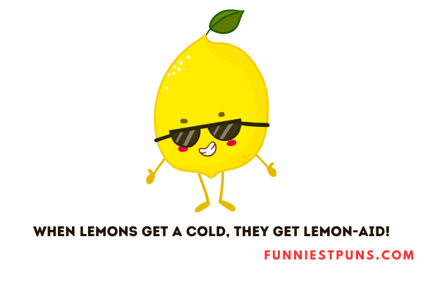 Funny Lemon Puns