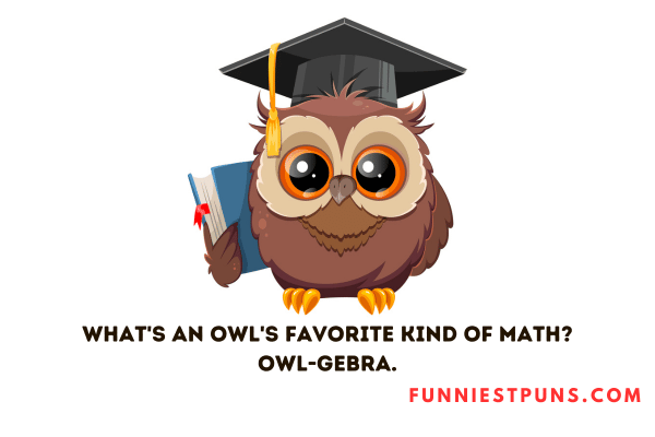 Funny Owl Puns