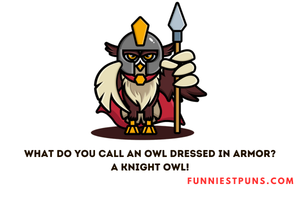 Funny Owl Puns