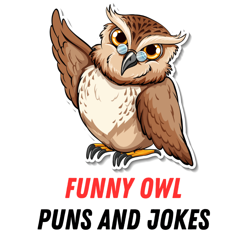 90+ Funny Owl Puns and Jokes: Whootastic Humor