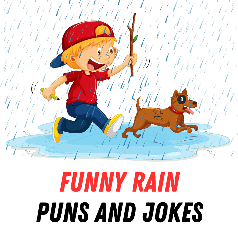 Funny Rain Puns