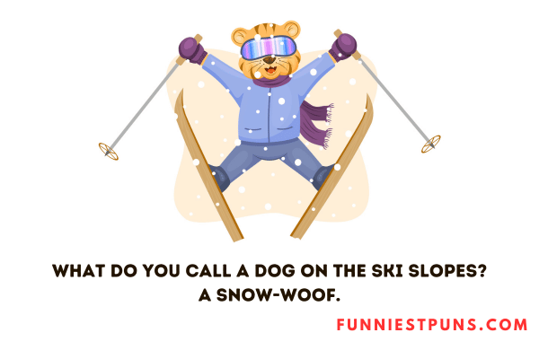 Funny Ski Puns