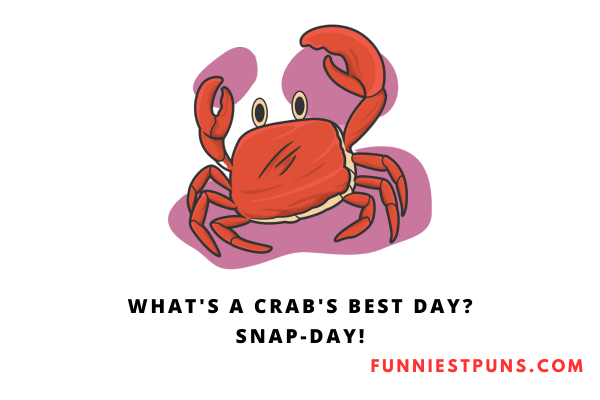 Funny Crab Puns and Jokes