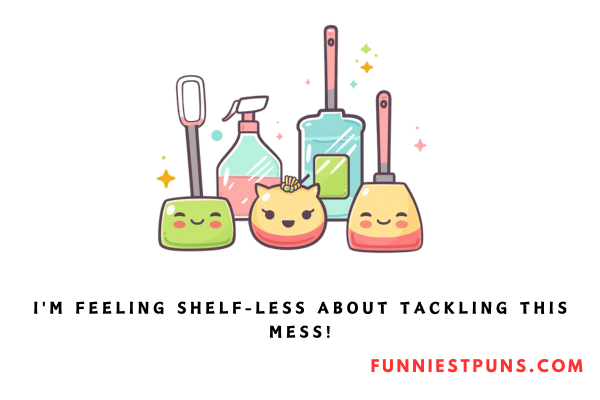 Funny Cleaning Puns 