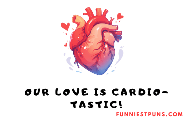 Cardiovascular Valentine Puns