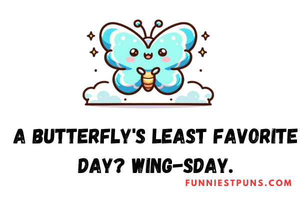 Funny Butterfly Puns