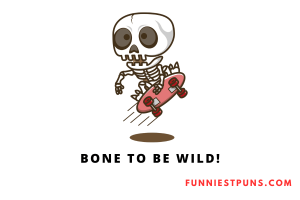 Funny Bone Puns and Jokes