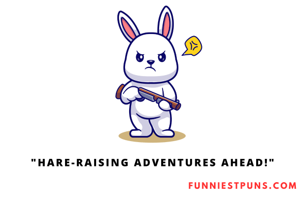 Funny Bunny Puns and Jokes