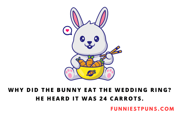 Funny Bunny Puns and Jokes