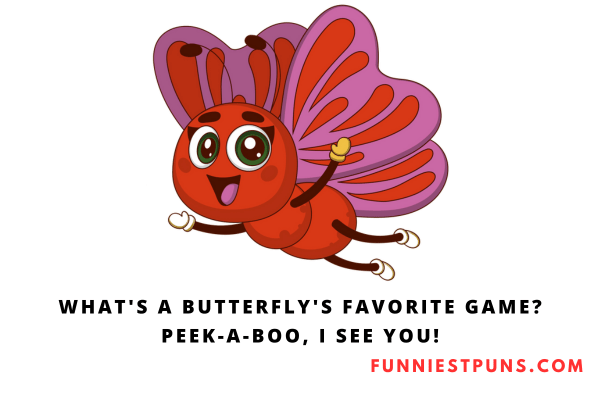 Funny Butterfly Puns