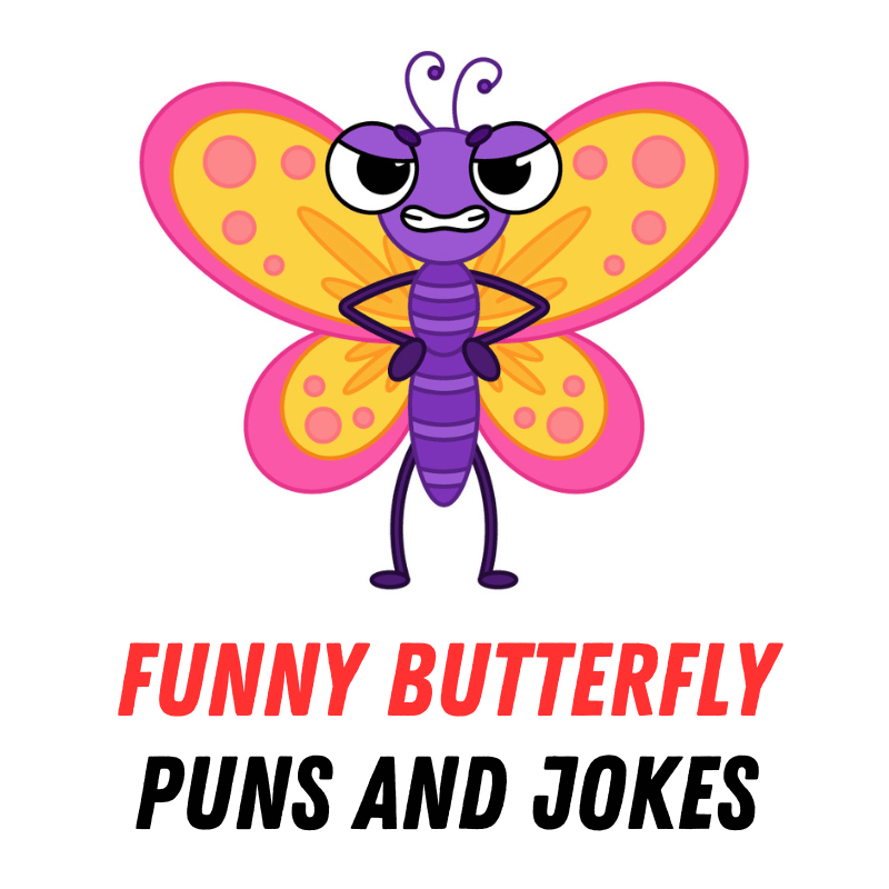 80+ Funny Butterfly Puns and Jokes: Fluttering Through Laughter
