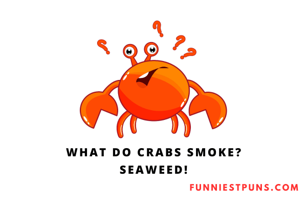 Funny Crab Puns and Jokes