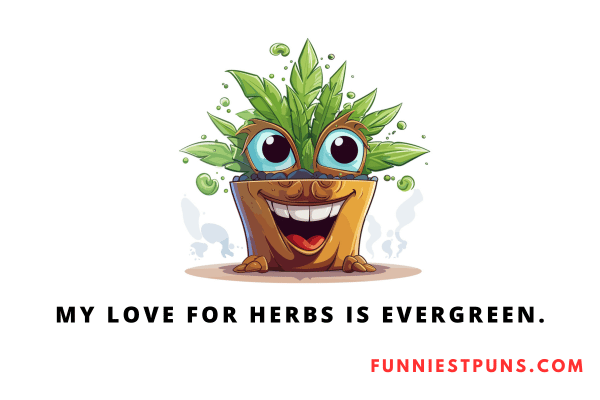 Funny Herb Puns and Jokes