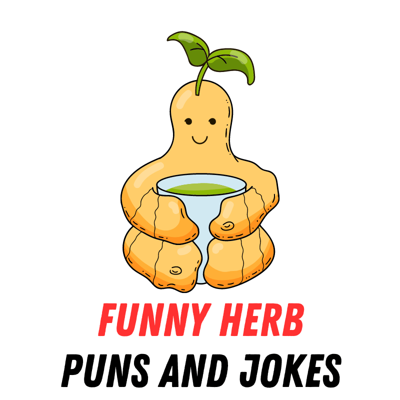 70+ Funny Herb Puns and Jokes: Thyme for Laughs