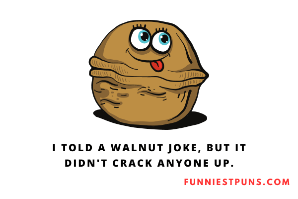 Funny Nut Puns