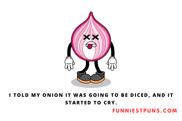 Funny Onion Puns