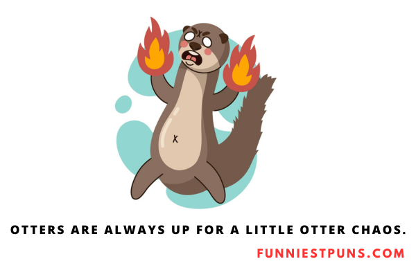 Funny Otter Puns