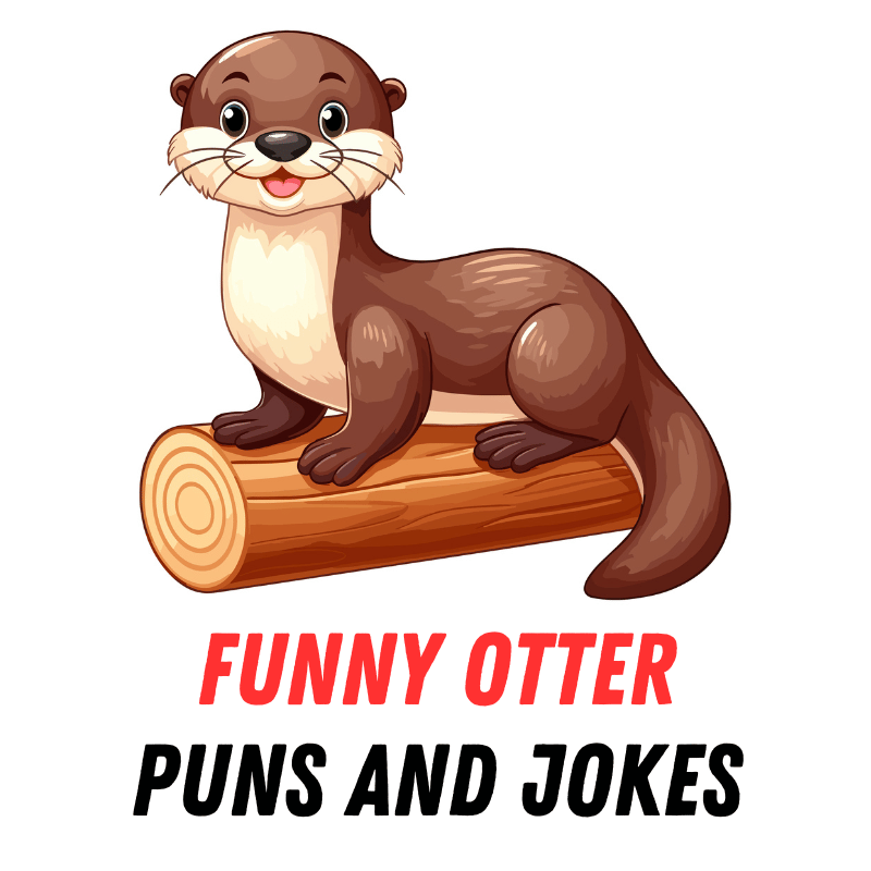 90+ Funny Otter Puns and Jokes: The Otter Side of Humor