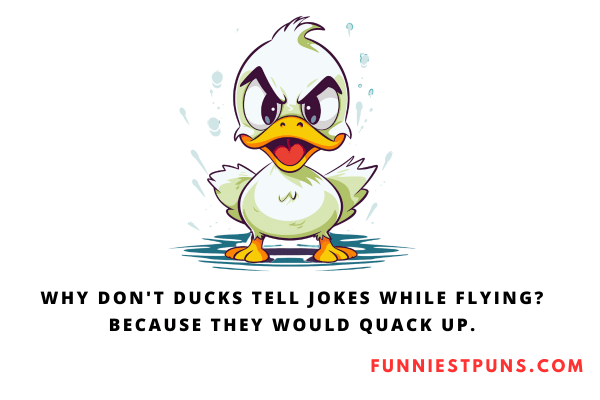 Funny Quack Puns